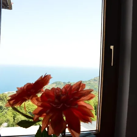 Sunray Luxury With Piano 公寓