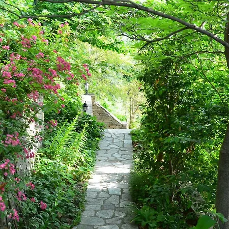 Sunray Luxury With Piano 公寓 扎戈拉