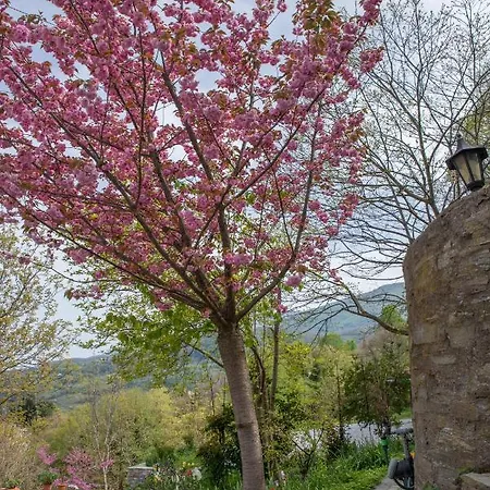 Sunray Luxury With Piano זגורה