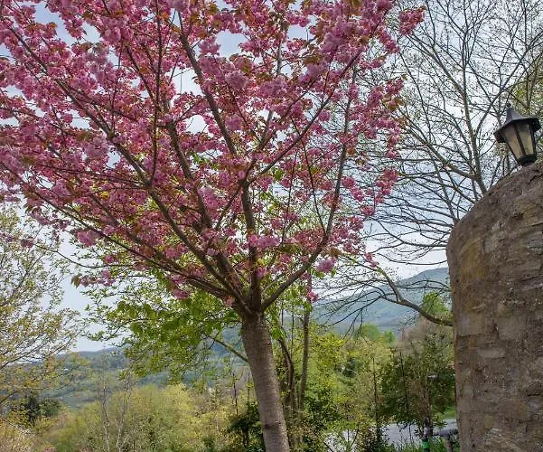 Sunray Luxury With Piano Ζαγορά